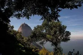 Pao de Acucar um icone da paisagem carioca 03