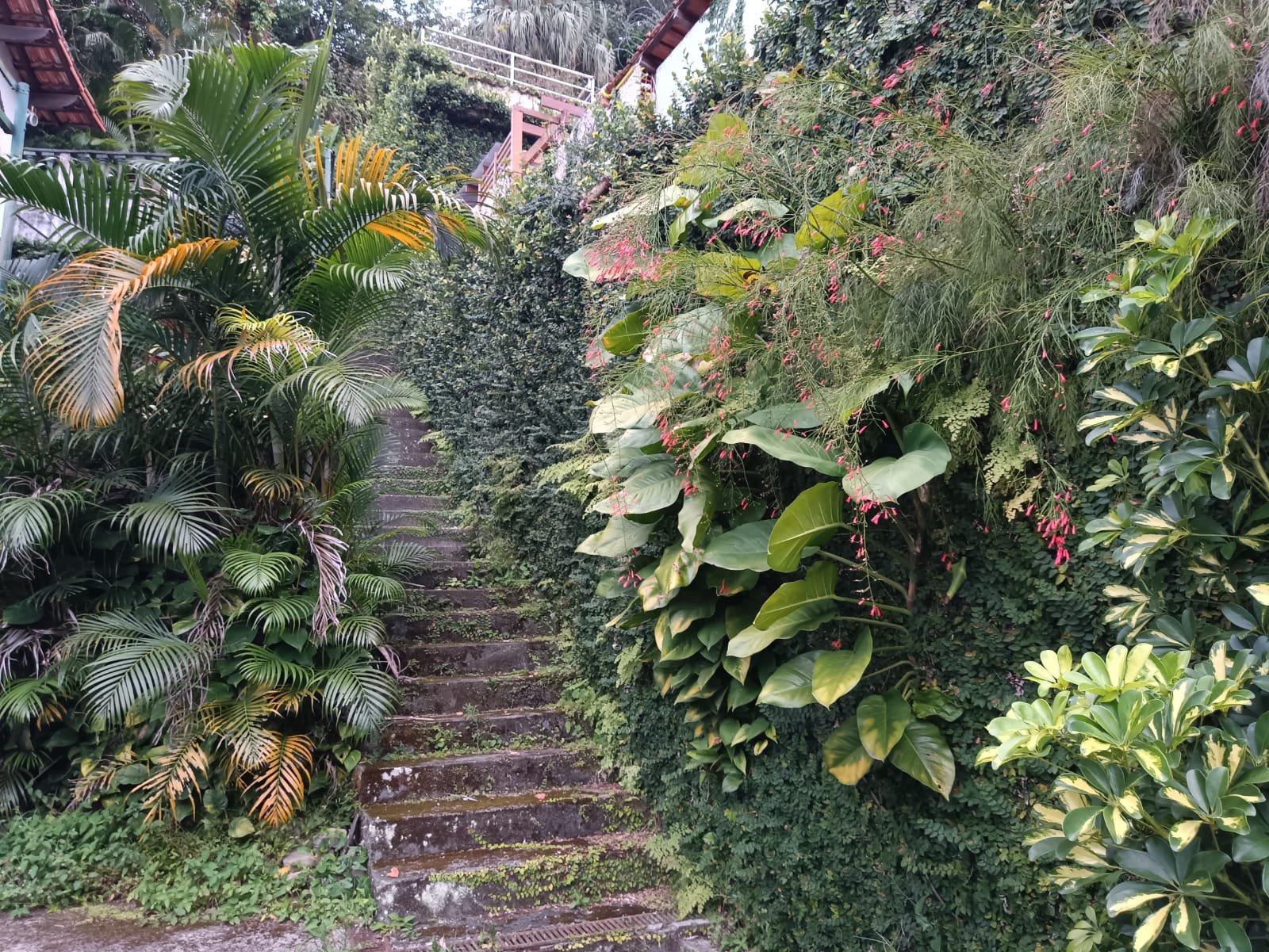 Casa 391m2 na Rua Golf Clube 4 Quartos - São Conrado