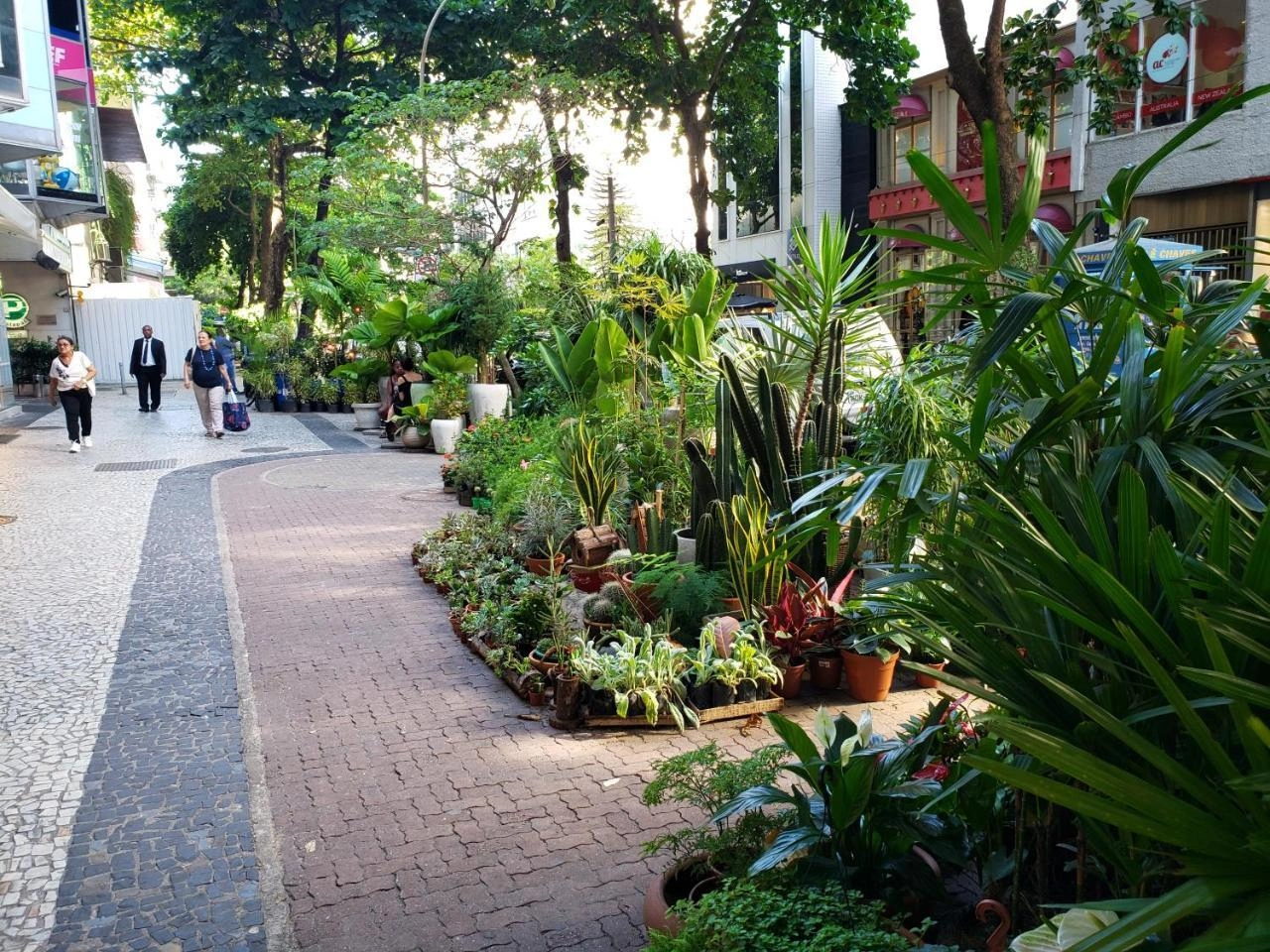 Ruas de Ipanema: Conheça as Principais Atrações do Bairro Carioca