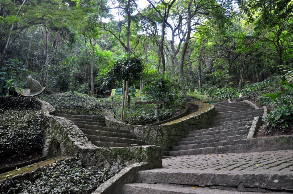 Parque Natural Municipal da Catacumba