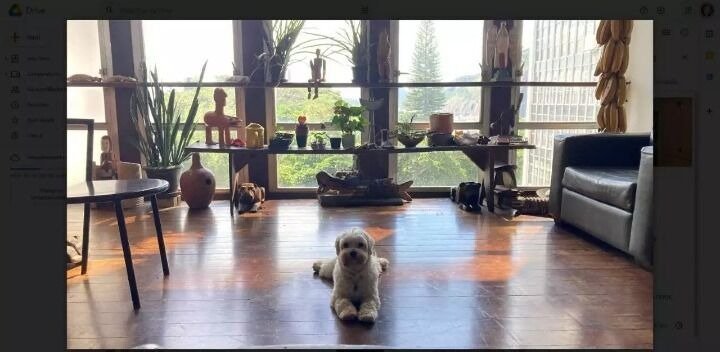 Apartamento em Botafogo 3 Quartos Praia Casa Alta 114m2