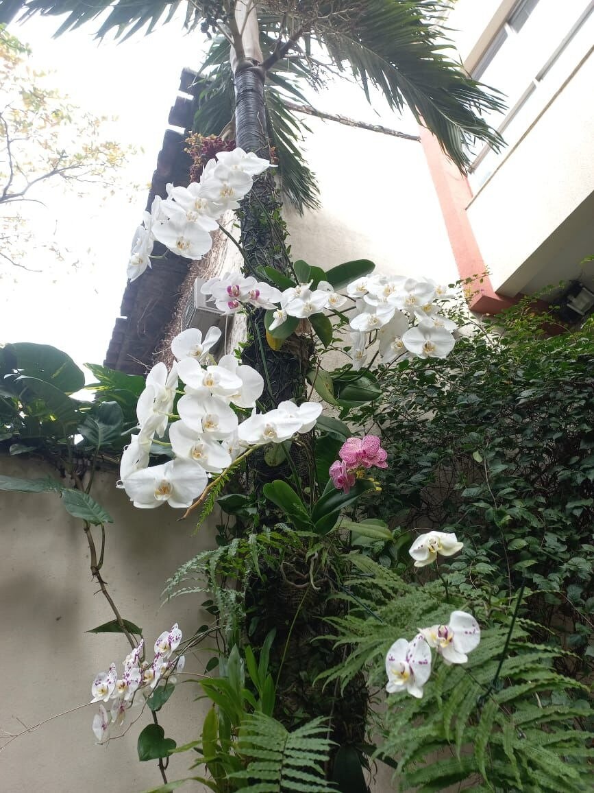 Apartamento na Urca 3 Quartos Rua Cândido Gaffrée 141m2