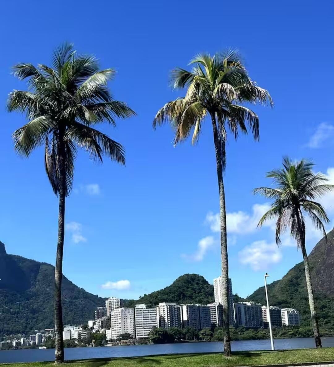 Apartamento no Leblon 1 Quarto Rua Adalberto Ferreira 36m2