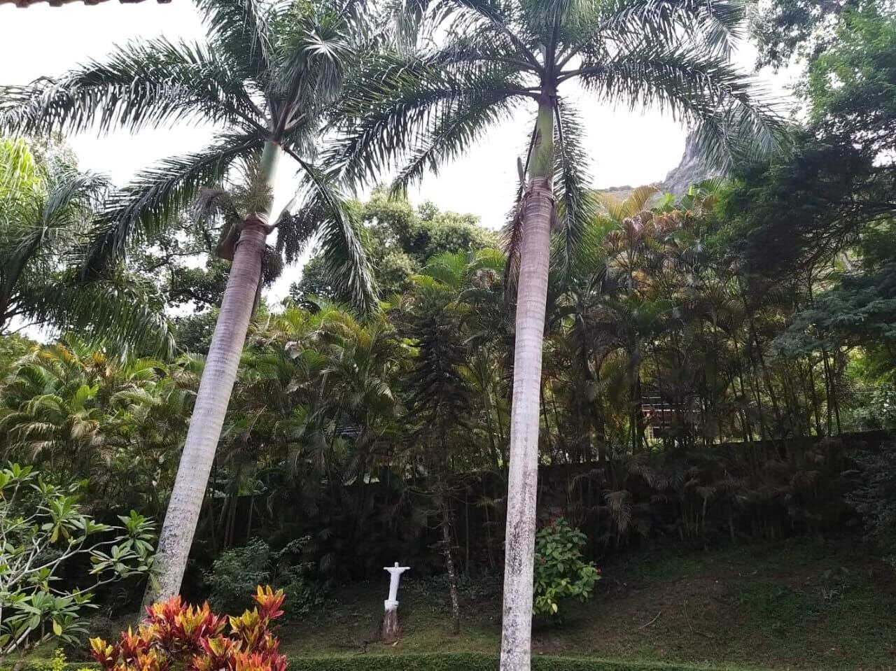 Casa em São Conrado 3 Suítes Estrada da Canoa 366m2