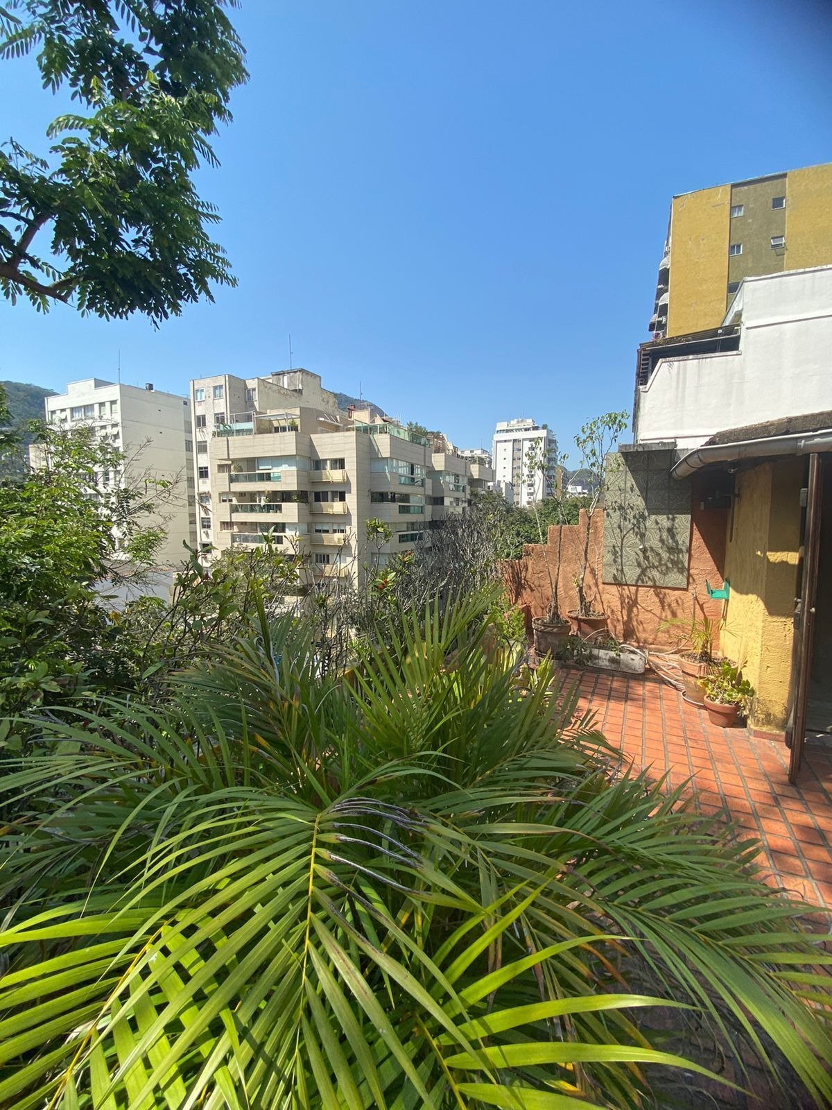 Cobertura no Jardim Botânico 4 Quartos Rua Maria Angélica 259m2